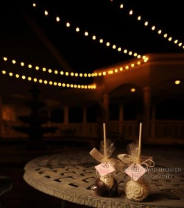 image of bride and groom decorated candy apples